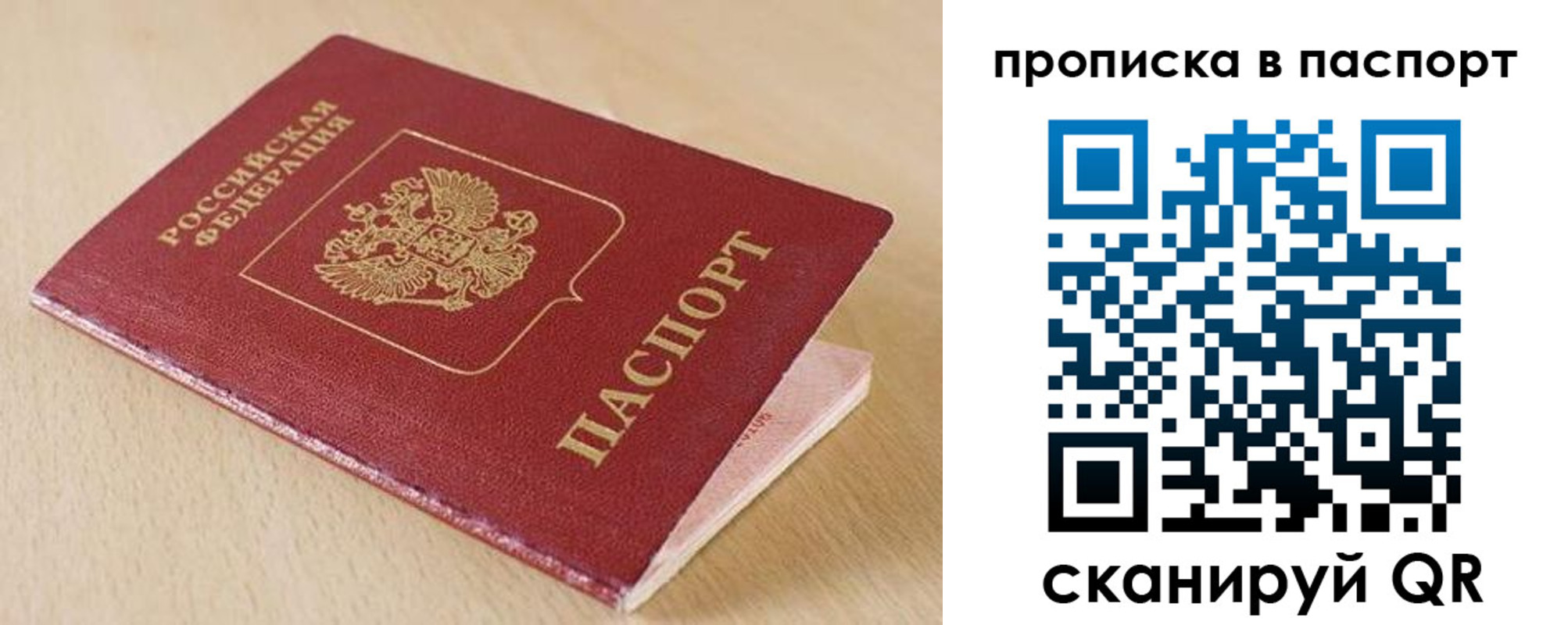 прописка паспорт в Оленегорске